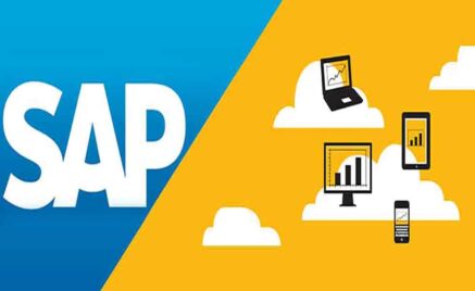 A Crash Course on SAP