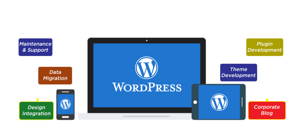 Why Every Web Professional Should Learn WordPress Development?